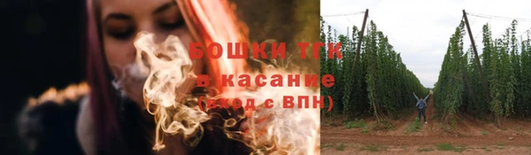 дживик Зеленокумск