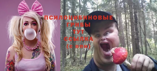 дживик Зеленокумск