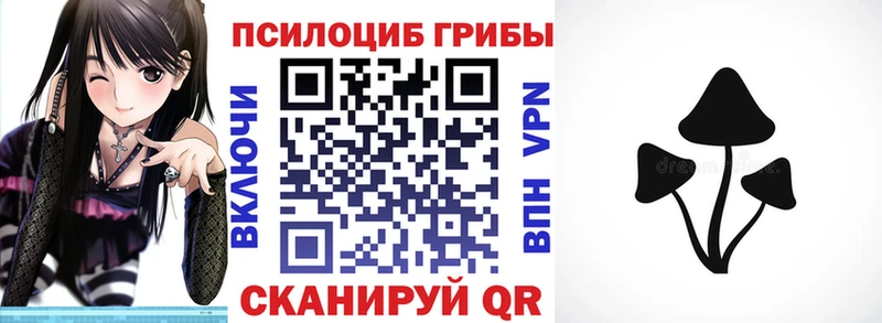 Купить  Шадринск  Галлюциногенные грибы Magic Shrooms 