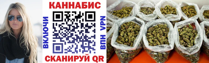 Марихуана план  Купить  Шадринск 